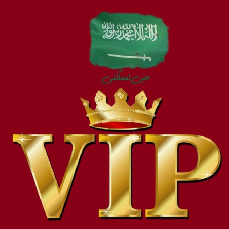 دام عـــزك يا وطـــن