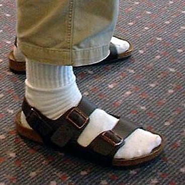 sandalism's profile picture. life is funny, but not ha ha funny