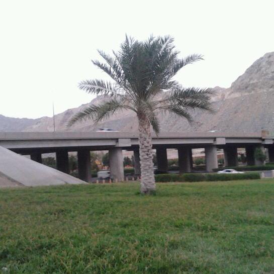 55946110's profile picture. حبيب الكل