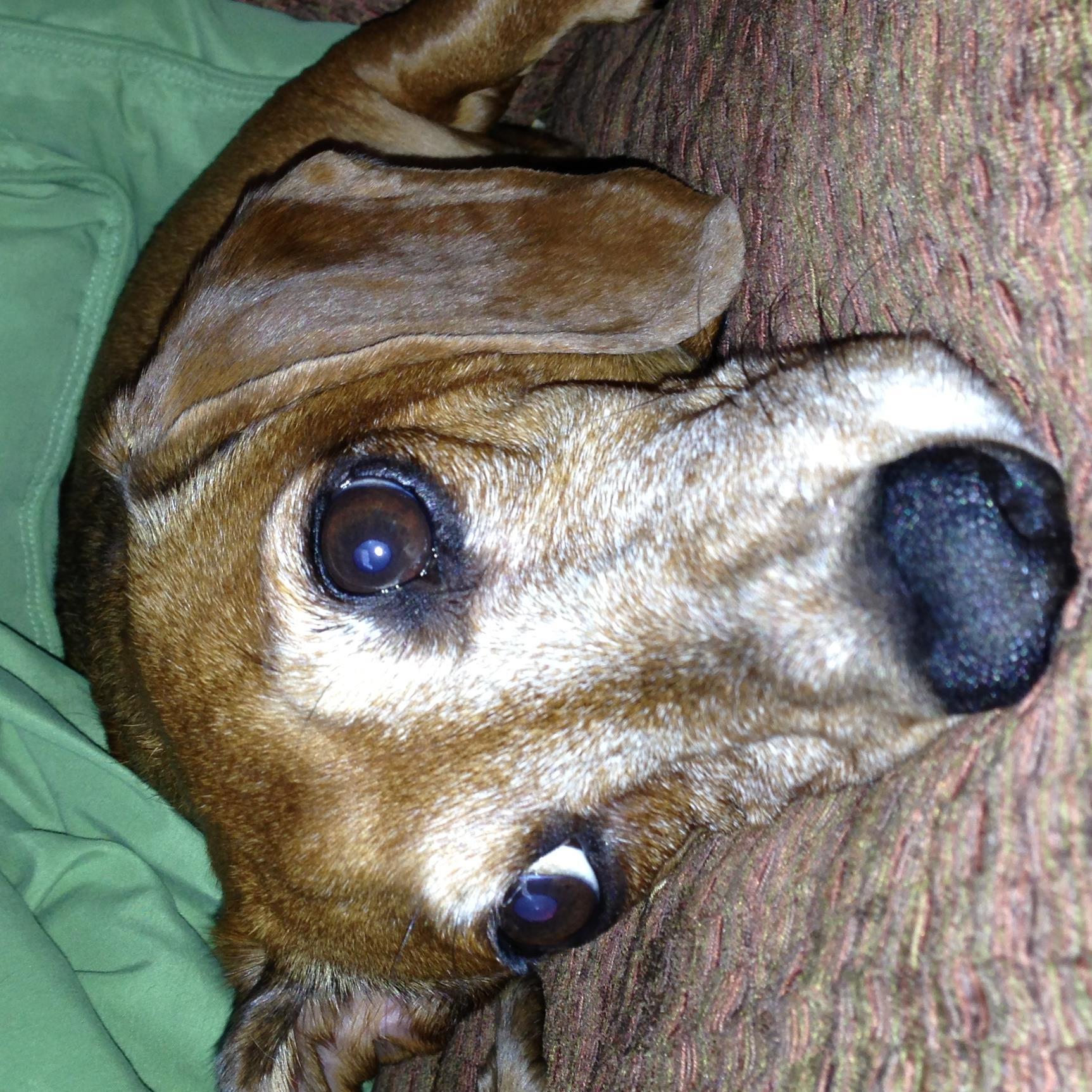 Nicu76rnMary's profile picture. 