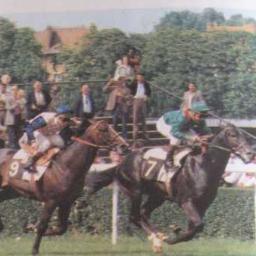 35 ans de passion pour les courses de haut niveau et l'élevage...75000