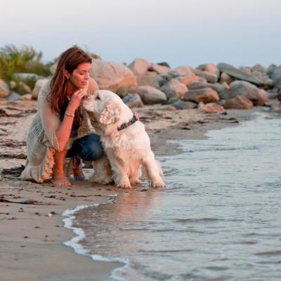 Wizard of Paws Physical Rehabilitation for Animals is a dream team of pro's dedicated to the rehabilitation, conditioning & wellness of our canine friends!