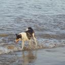 Pat Masters - @jemwatcher - Twitter