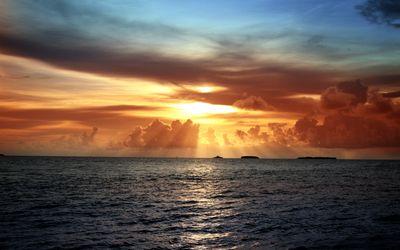 LDeutekom's profile picture. 