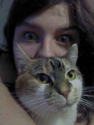 Yo, yo Twitter! I like YouTubers, Bands and Food. Yeah, that's it.
