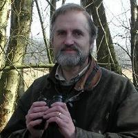 Stephen Baillie (@stephenrbaillie) 's Twitter Profile