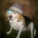 jeremy ray witmer - @the_witmer - Twitter