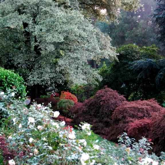 stunning B&B cottage for romantics,only one cottage for total privacy on 5 acres of formal gardens
