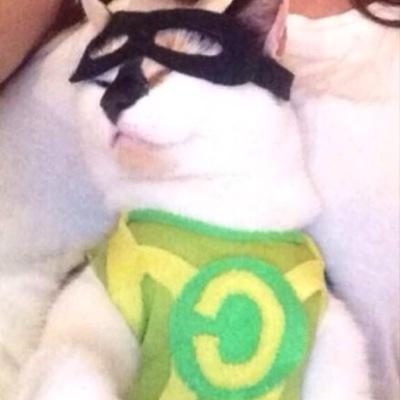 5SOS fan account on behalf of all the 5SOS animal fans around the world. FANIMALS