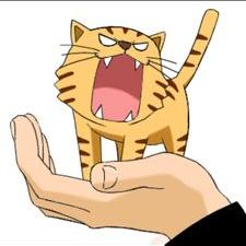 手乗りタイガー Toradoraaaa Twitter