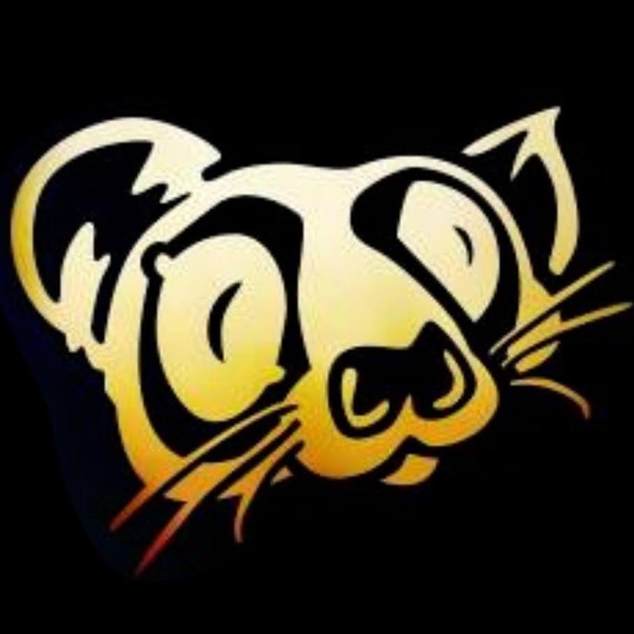 Fossa_Disc_Golf's profile picture. http://t.co/vfUuc0QKf0