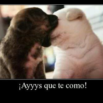 josemaprofe55's profile picture. 