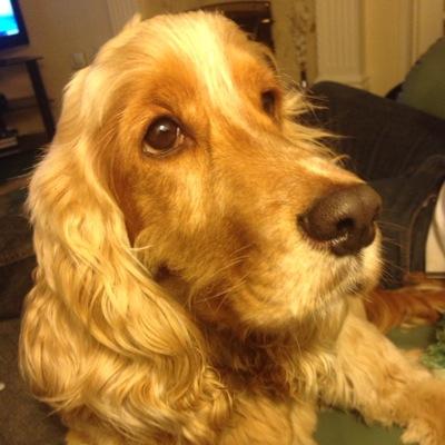 Writer of comic rhymes. See my Kindle book 'Pip's Comic Rhymes' lots of giggles for next to nothing