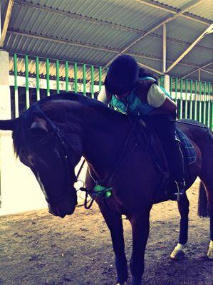 Equestrian || KPop || MedVet || Instagram: feerg_c
