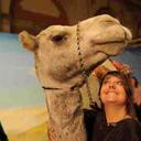 alice dalton - @allydalst - Twitter