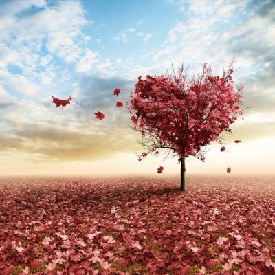 WestermanPippa's profile picture. 