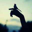 فوفآ العنزي (@099_hny6) Twitter