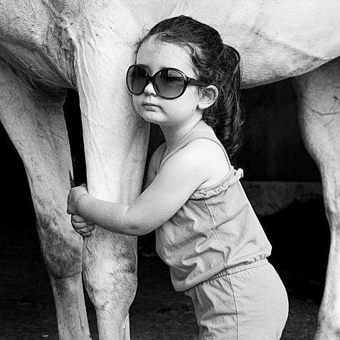 100% lawyer, 100% wannabe equestrian, 100% yogini, 100% eccentric cat lady with way too many interests to count
