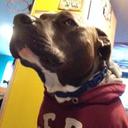 van duda - @Van_Da_Lizm - Twitter