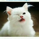 Aura Reyes - @AURA_REYE13 - Twitter