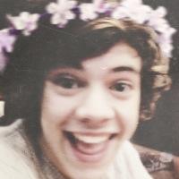 dando pro styles