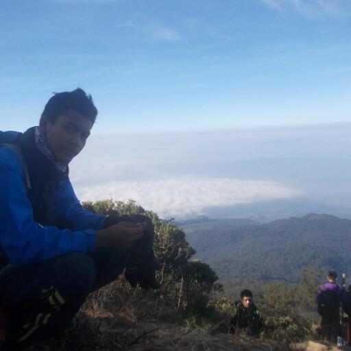 X TKJ 3 PJ |administator of Android Indonesia|PS.SBKK Elang Putih | OSIS PJ