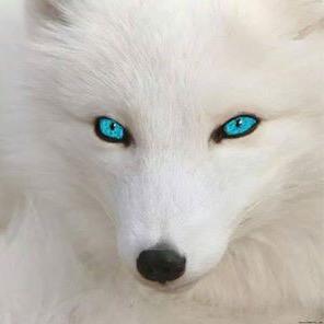 JosCarlosDias11's profile picture. 