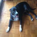 James Barter - @Jb4460Barter - Twitter