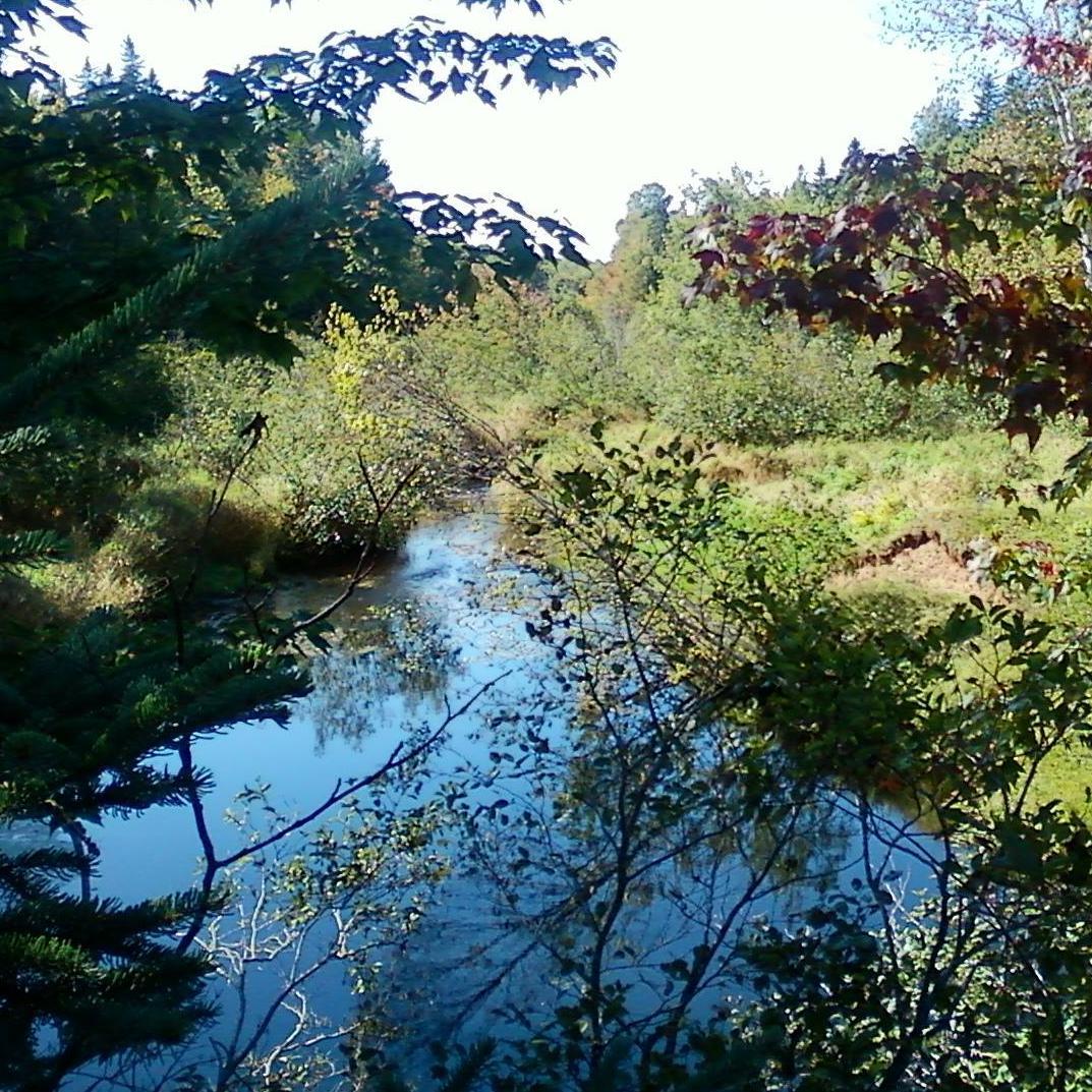 webdesigna4's profile picture. 