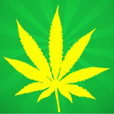 Marijuana health facts! Get real and current news on the nation's #1 crop! #marijuanahealthfacts subscribe to our YouTube channel for more! #WeedSquad