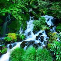 知ってると役立つ生活の雑学 (@karodajp003) Twitter profile photo