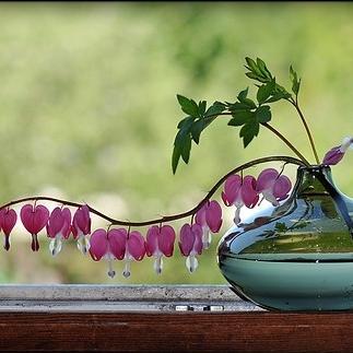 If you do what you've always done, you'll get what you've always gotten.-Tony Robbins