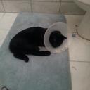 Aiden Copeland - @copeland_aiden - Twitter