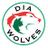 DIA_Sports's profile image