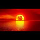 Elizabeth Efird - @EfirdElizabeth - Twitter