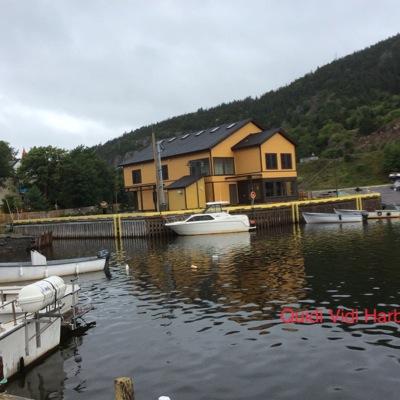 CandiSue7's profile picture. Nascar nut, gardener, animal lover