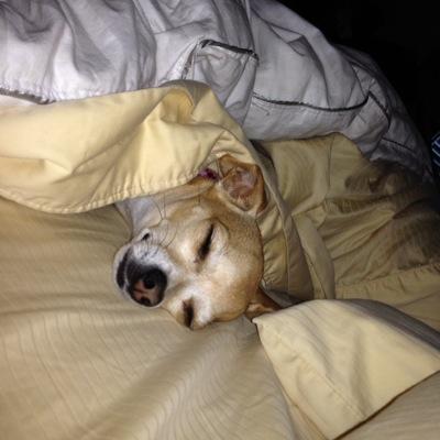 MostlyAnnoyed's profile picture. 