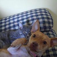 Adam D. Ruppe (@adamdruppe) 's Twitter Profile