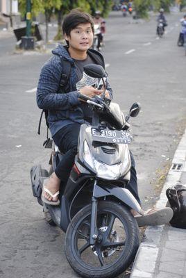 woles