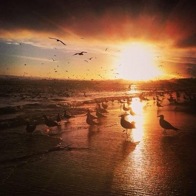 LoriSharar's profile picture. 