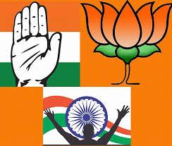 Delhi_Elections's profile picture. This account has nothing to do with election commission.