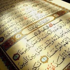 تم تهكير هذا الحساب لوجهه الله