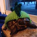 Lewis Snyder - @TurtleSaurisRex - Twitter