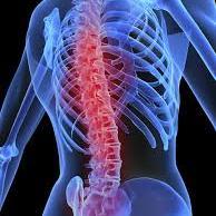 Chiropractic and Sports Health Education, one spine at a time #rocktape #RockDoc