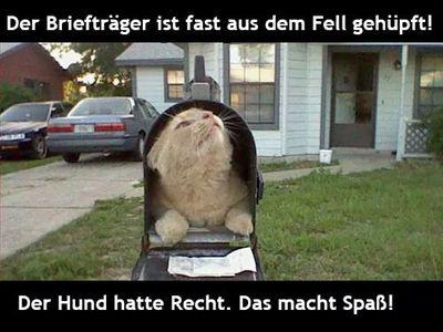 reale Dates im Raum 4. gerne auch TS.
Auf kik : miti1972.
schreibt mir einfach mal