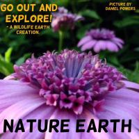 Nature Earth(@Nature_On_Earth) 's Twitter Profile Photo