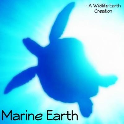 Marine Earth is created to inspire thousands into loving and protecting the ocean and all marine life in it ising the power of social media!