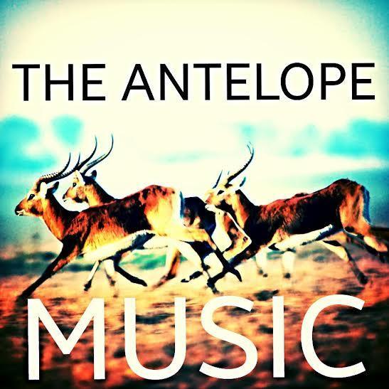all about music, primarily jam bands. official website coming soon. for any inquiries email thefastantelope@gmail.com