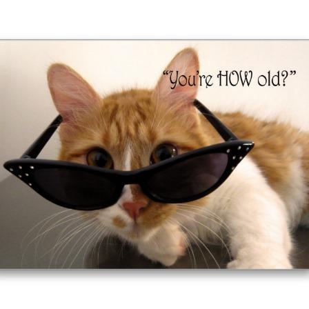 Grandmother & Entrepreneur! Follow Me & I Follow Back!