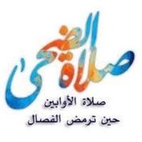 #صلاة_الضحى (@elashlaty) 's Twitter Profile